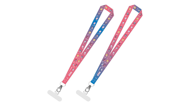 Lanyard